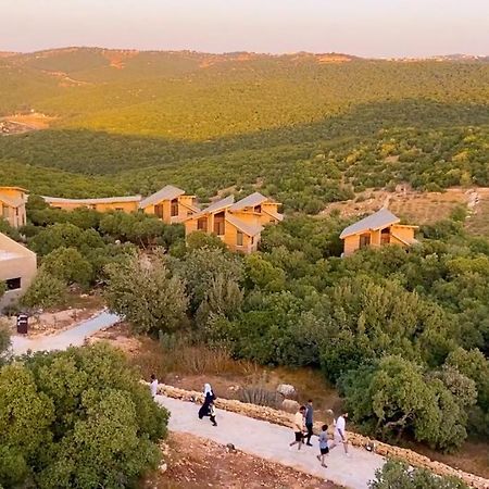 Ajloun Forest Reserve 제라시 외부 사진