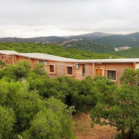 Ajloun Forest Reserve 제라시 외부 사진