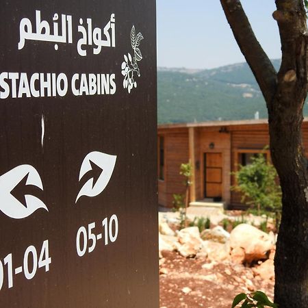 Ajloun Forest Reserve 제라시 외부 사진