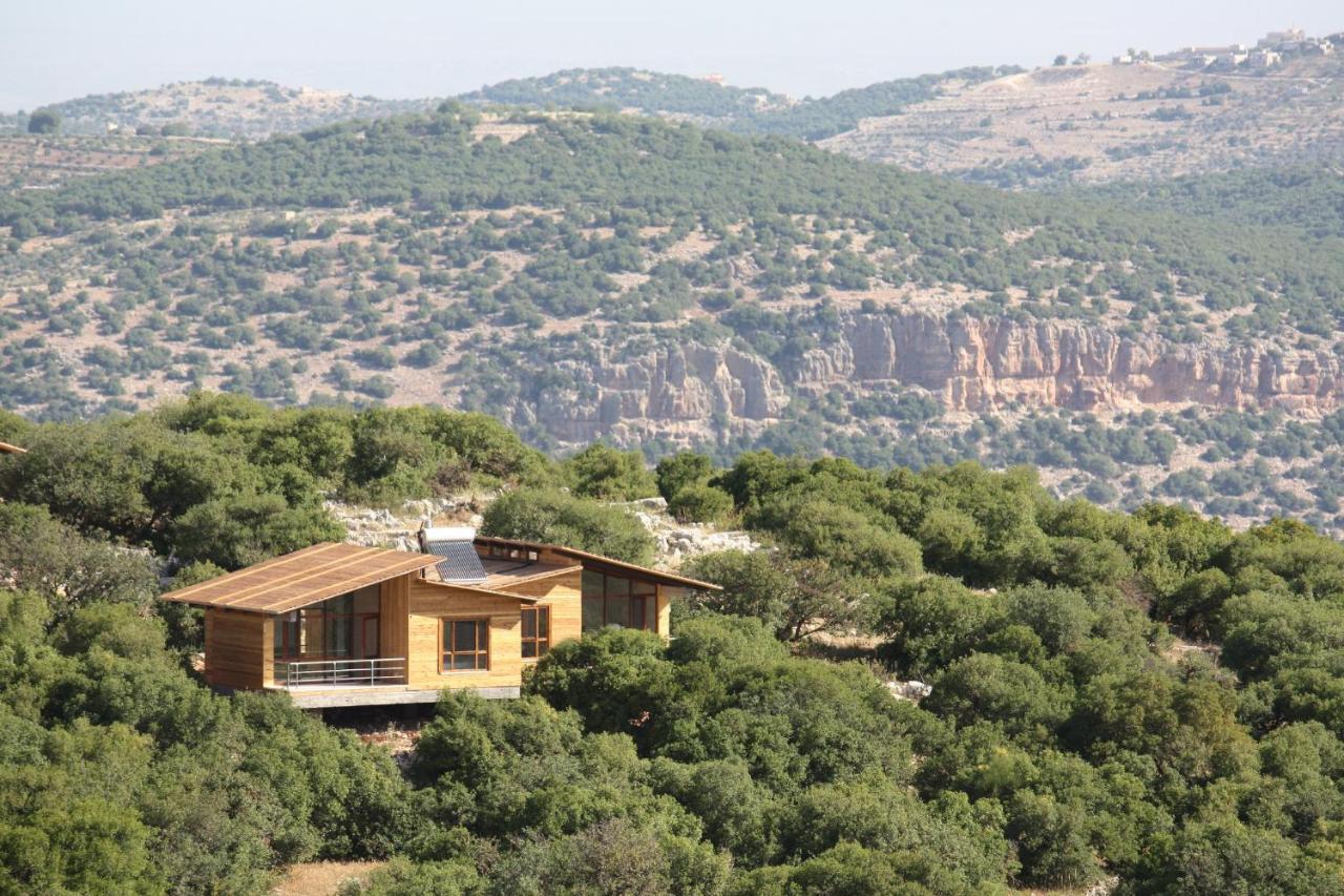 Ajloun Forest Reserve 제라시 외부 사진