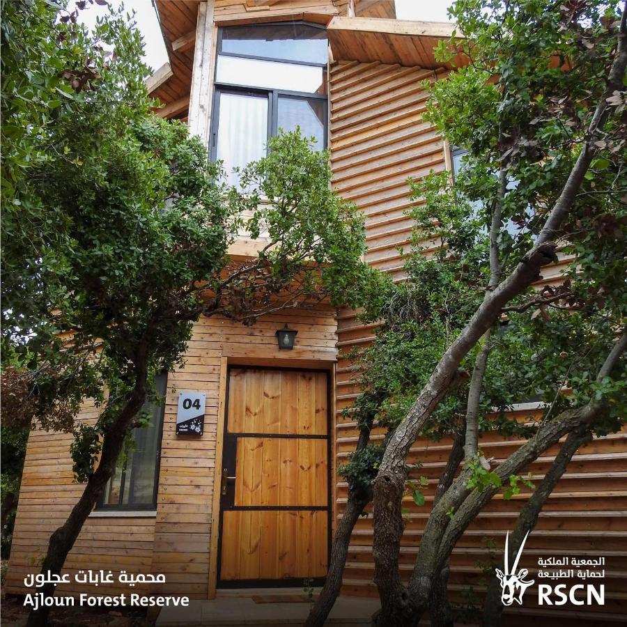 Ajloun Forest Reserve 제라시 외부 사진