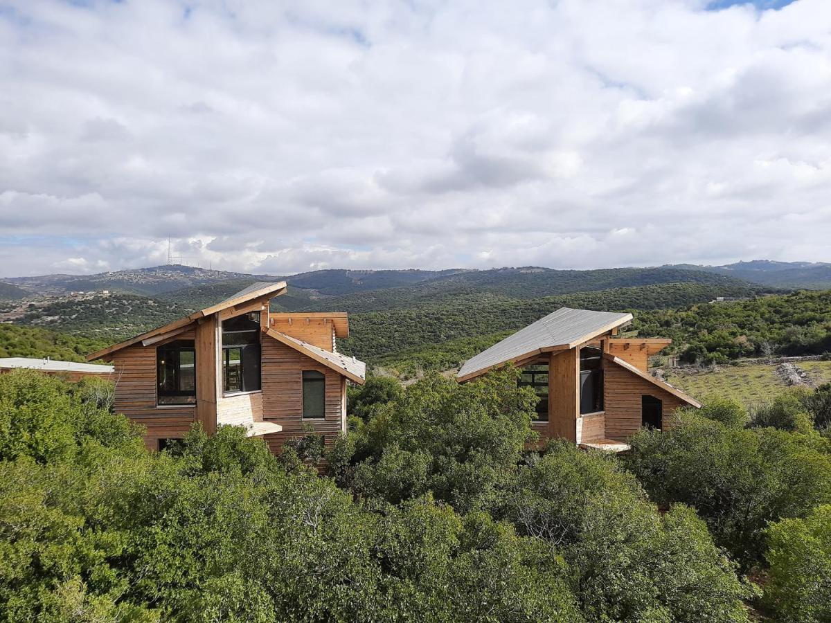 Ajloun Forest Reserve 제라시 외부 사진