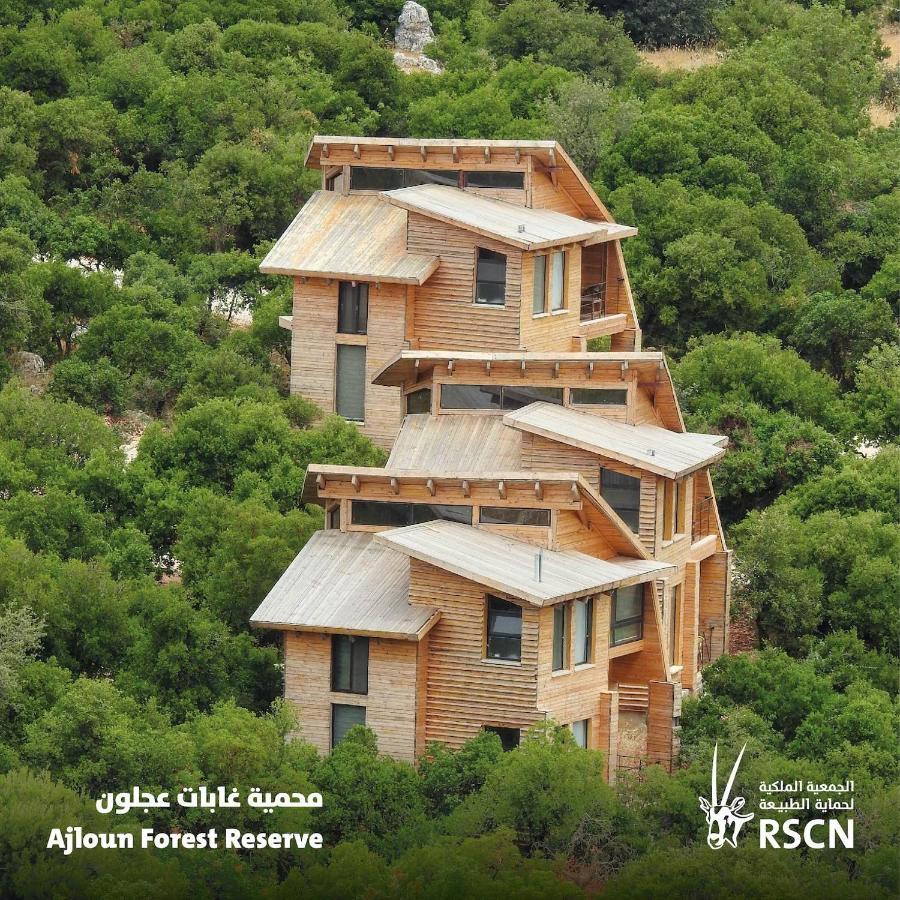 Ajloun Forest Reserve 제라시 외부 사진