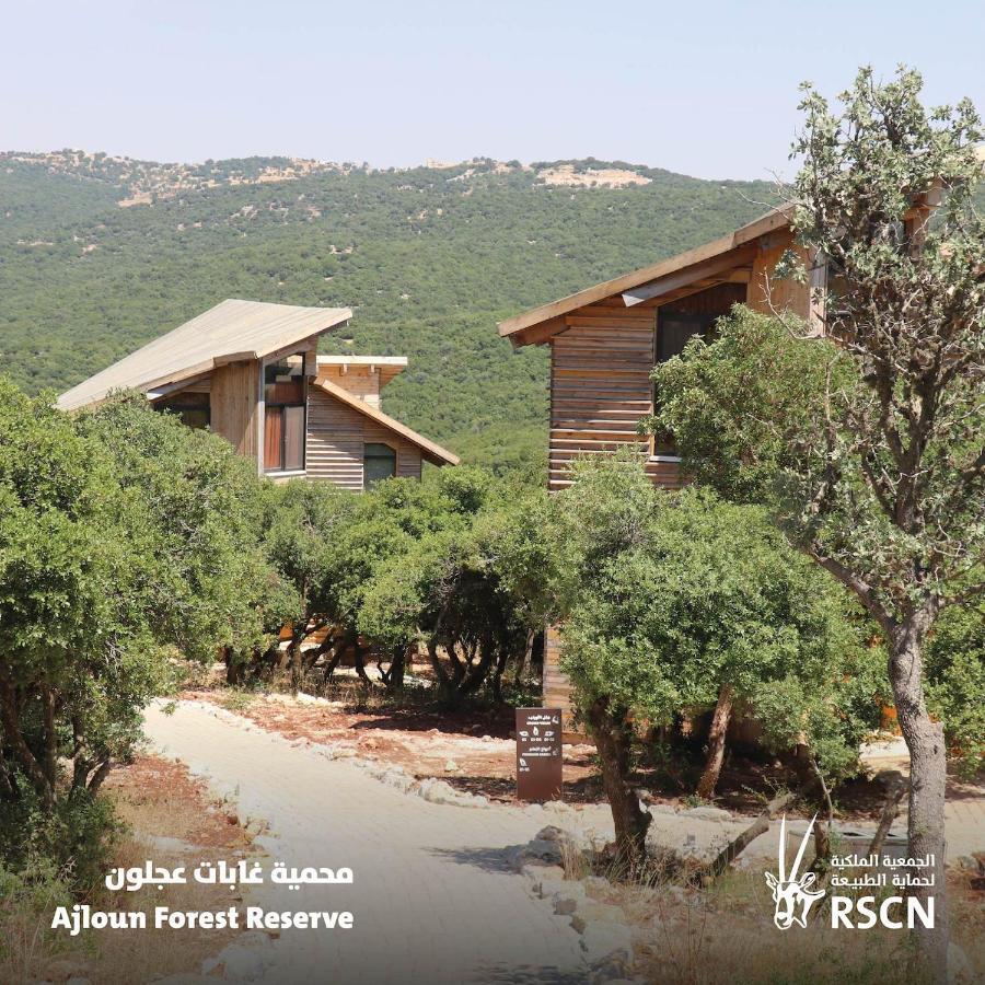 Ajloun Forest Reserve 제라시 외부 사진
