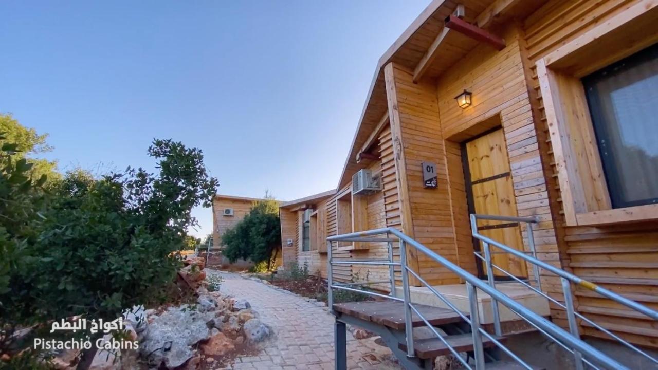 Ajloun Forest Reserve 제라시 외부 사진