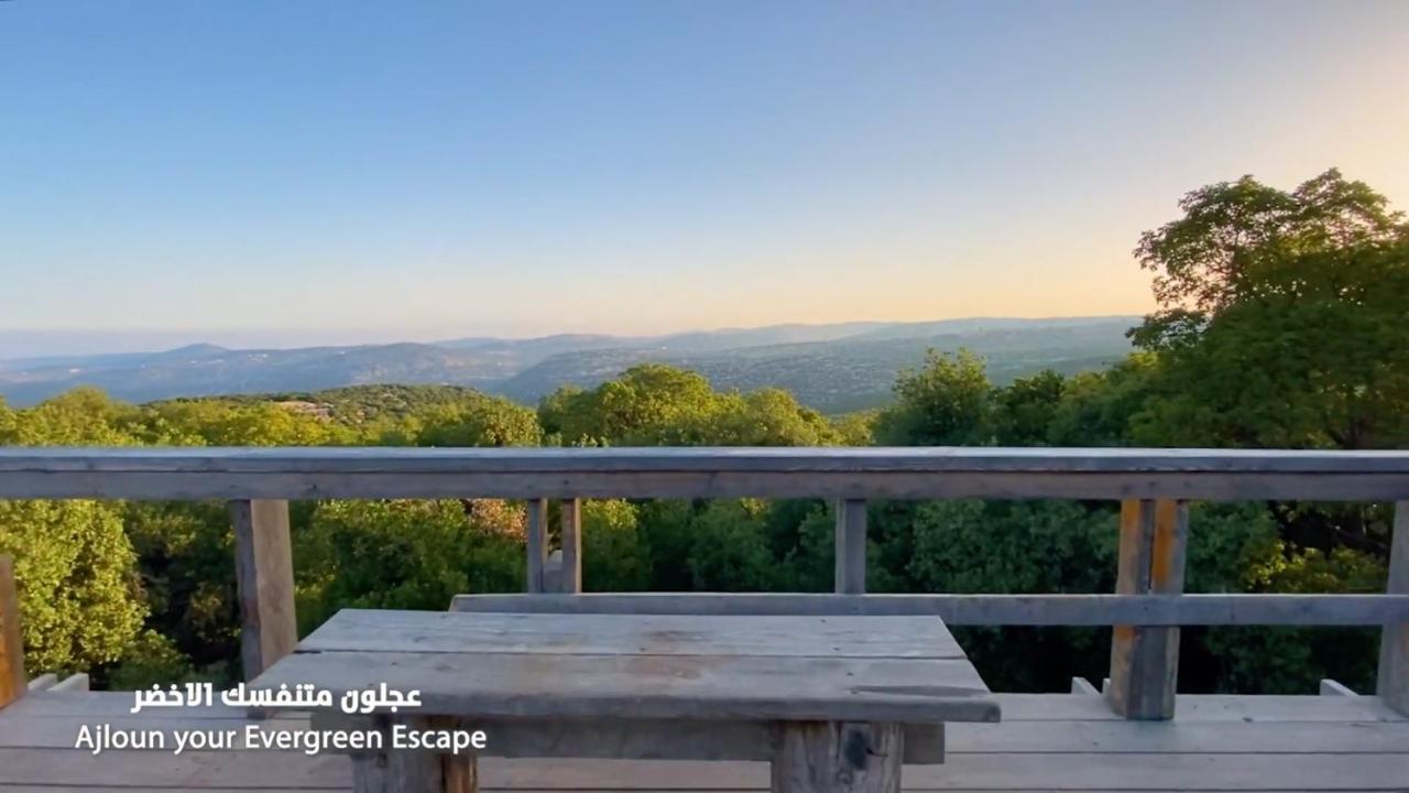 Ajloun Forest Reserve 제라시 외부 사진