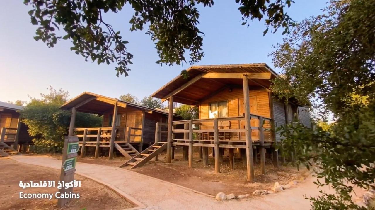 Ajloun Forest Reserve 제라시 외부 사진