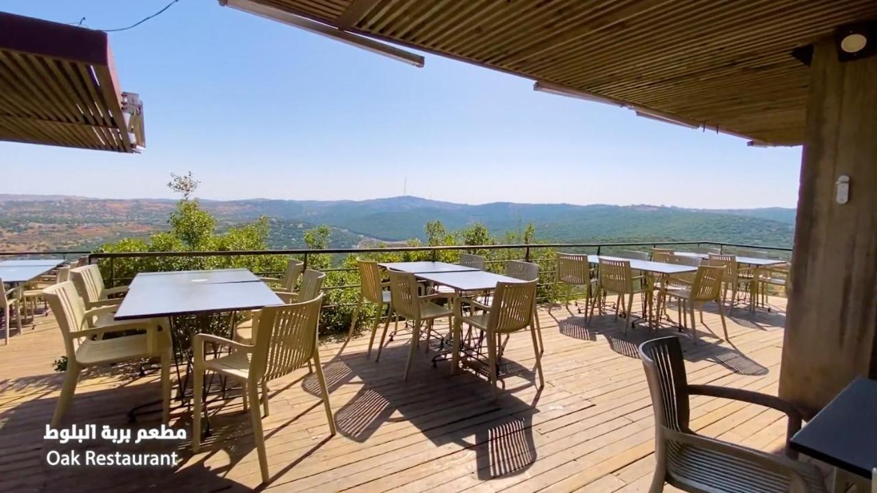 Ajloun Forest Reserve 제라시 외부 사진