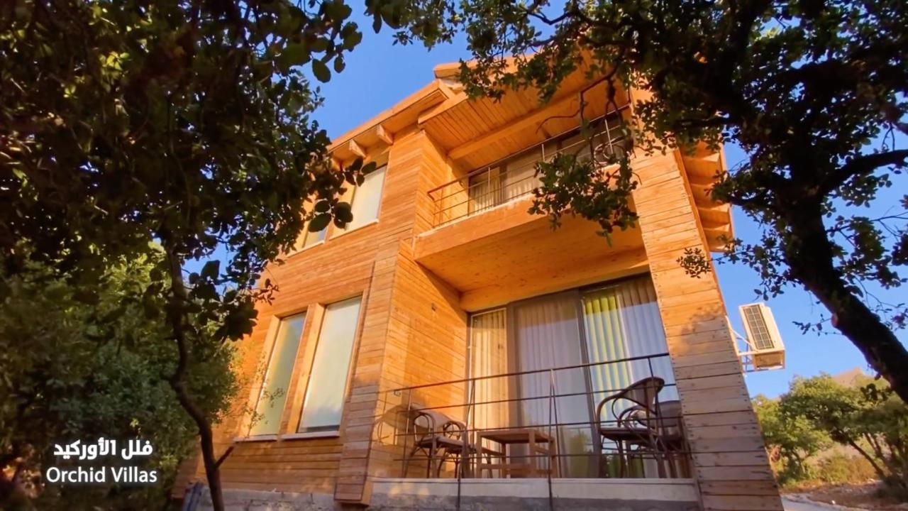 Ajloun Forest Reserve 제라시 외부 사진