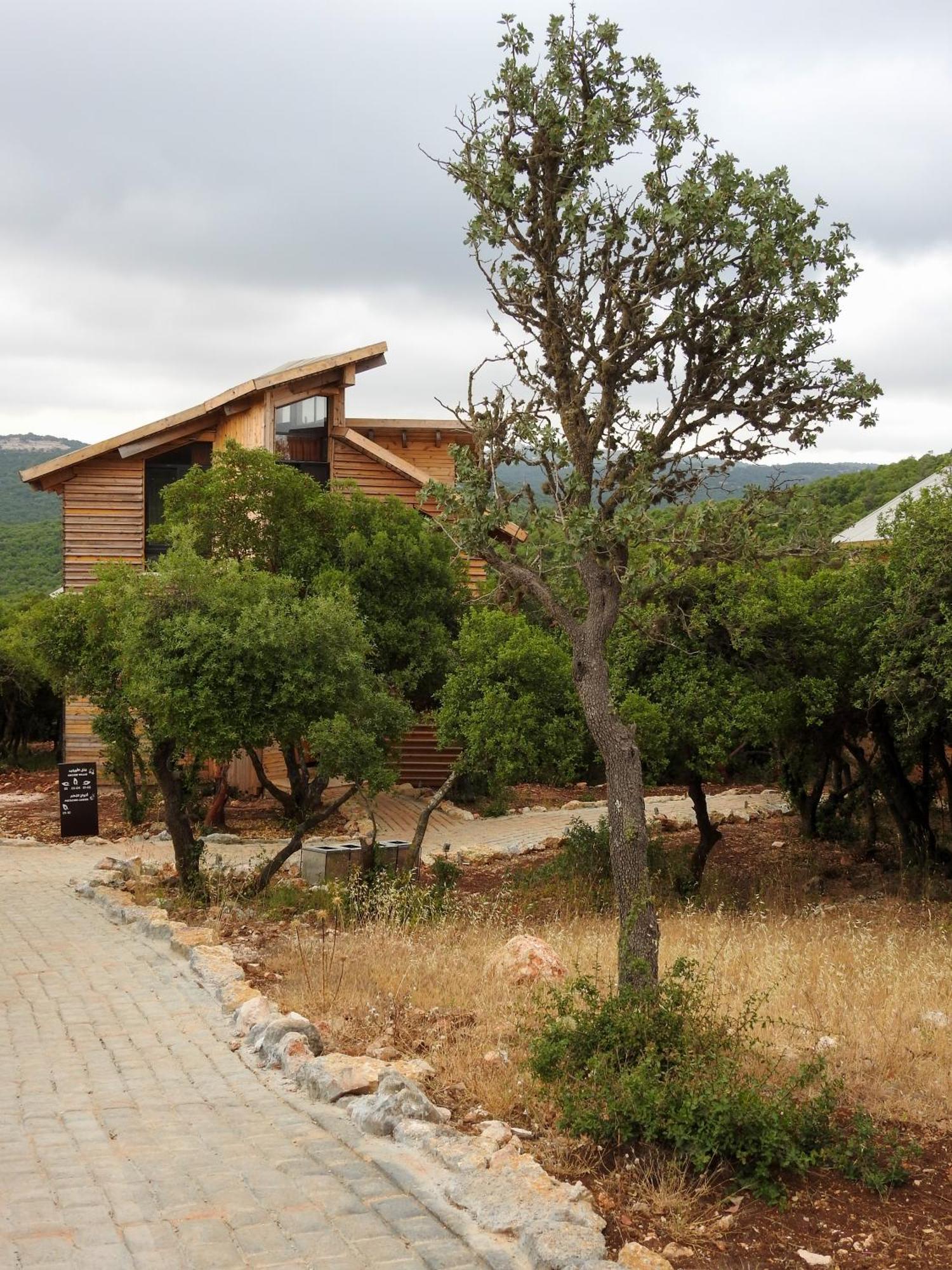 Ajloun Forest Reserve 제라시 외부 사진