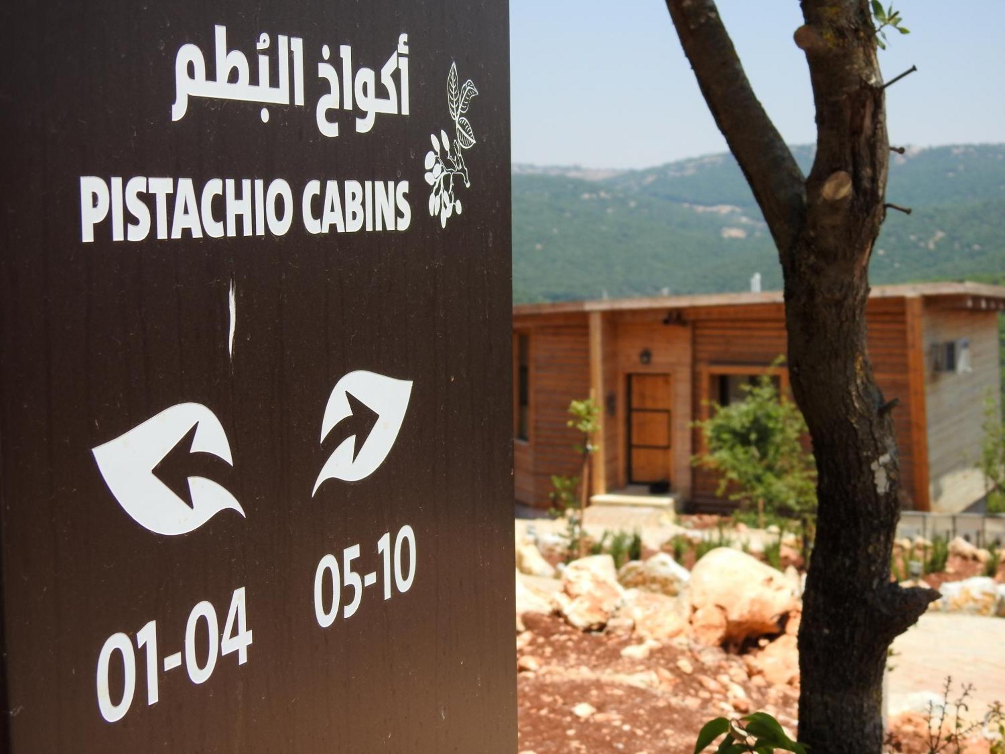 Ajloun Forest Reserve 제라시 외부 사진