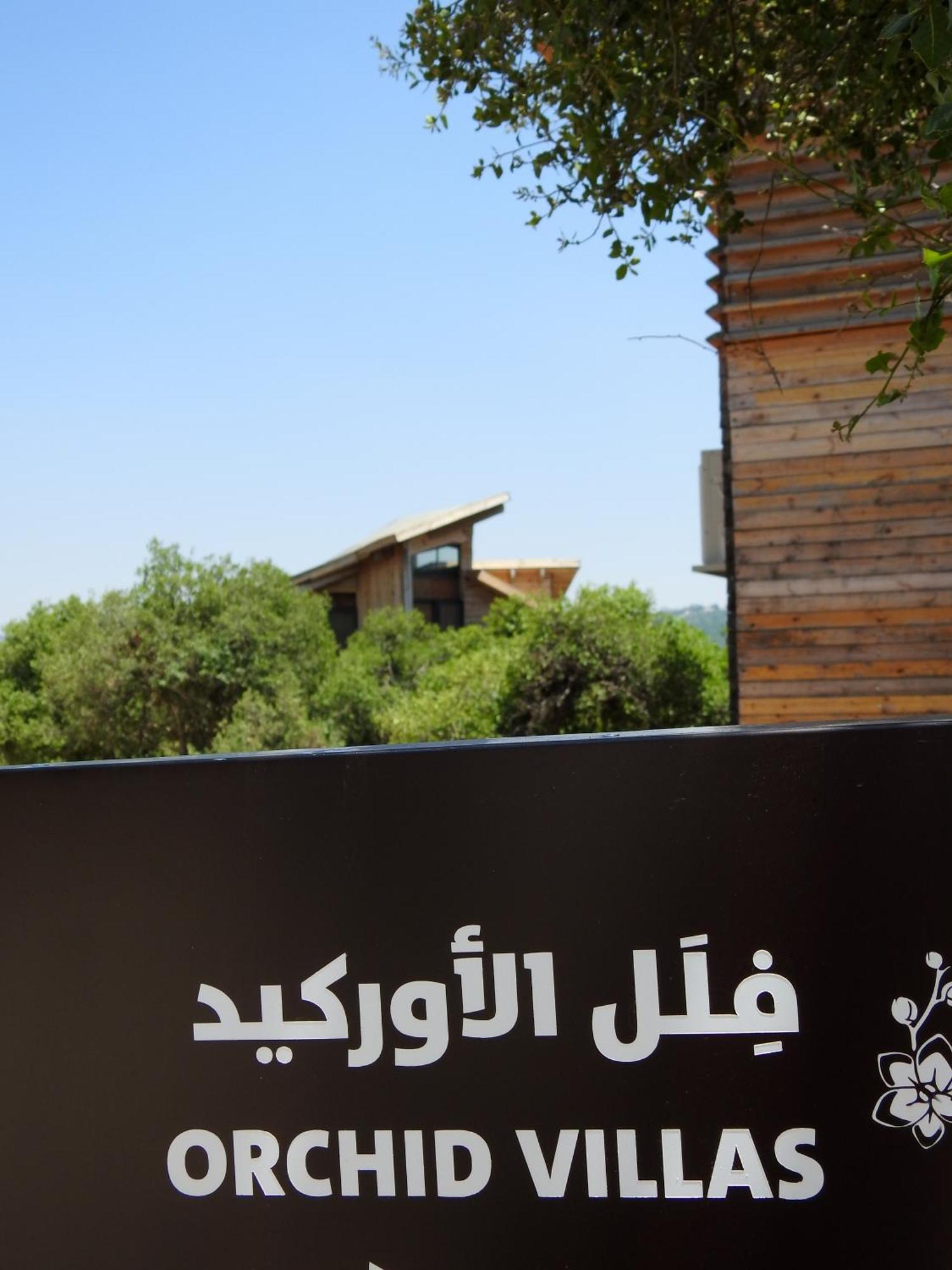 Ajloun Forest Reserve 제라시 외부 사진