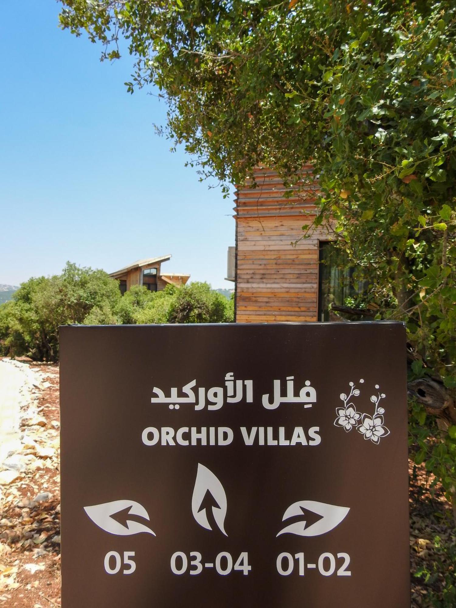 Ajloun Forest Reserve 제라시 외부 사진