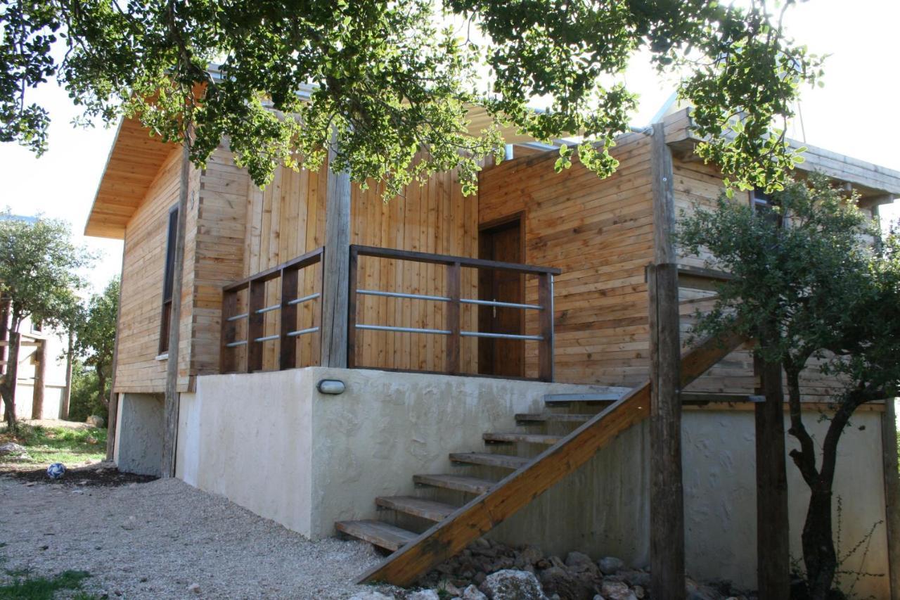 Ajloun Forest Reserve 제라시 외부 사진