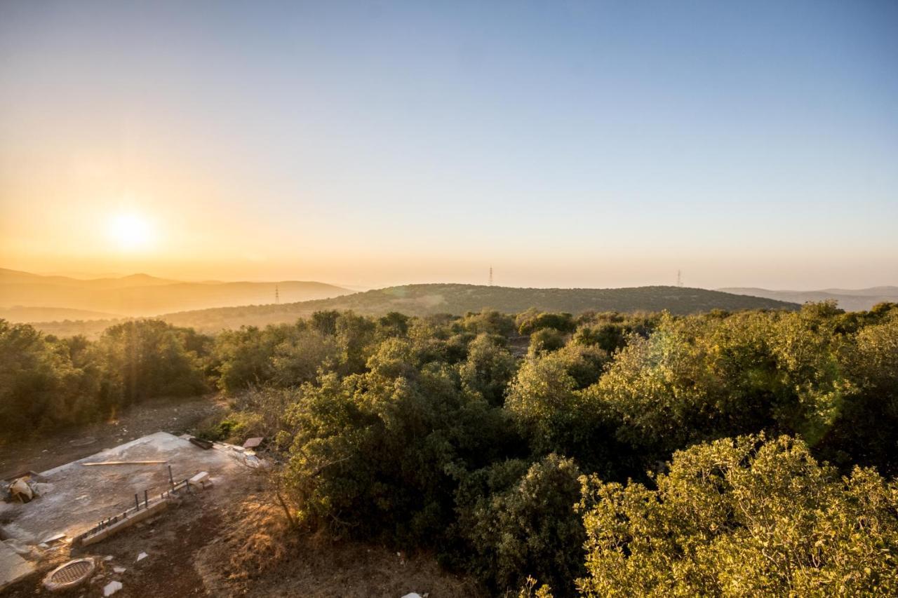 Ajloun Forest Reserve 제라시 외부 사진