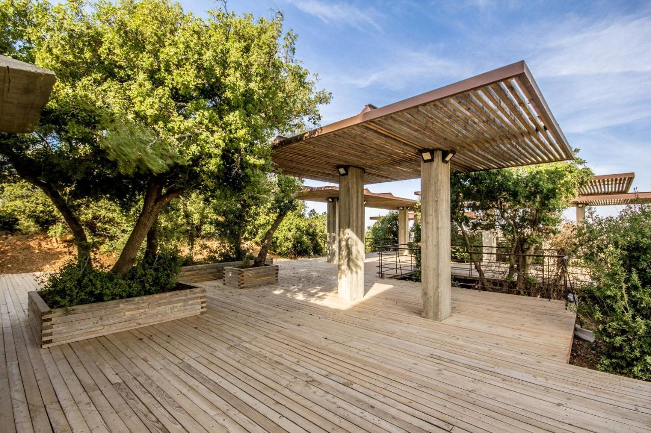 Ajloun Forest Reserve 제라시 외부 사진