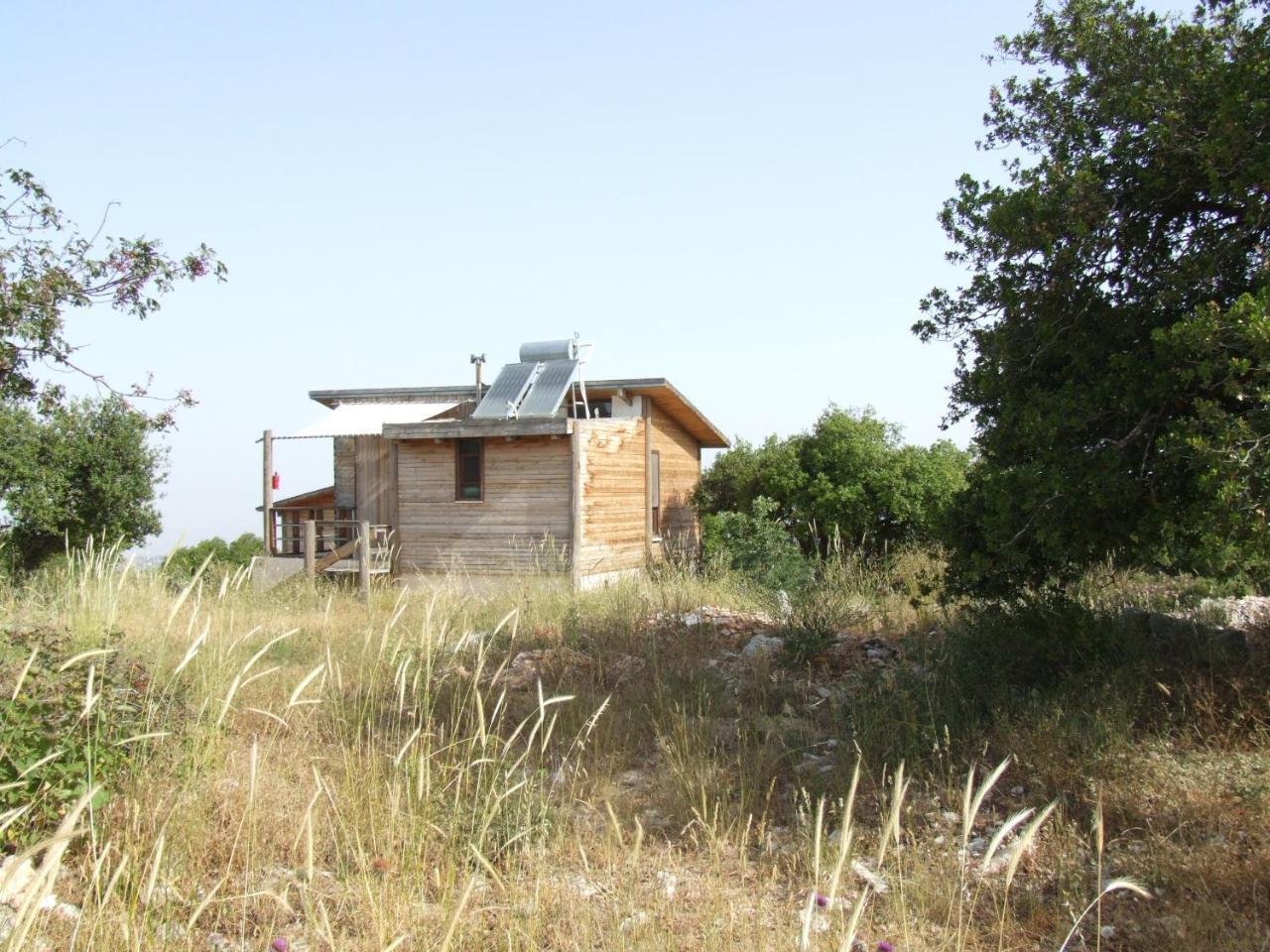 Ajloun Forest Reserve 제라시 외부 사진