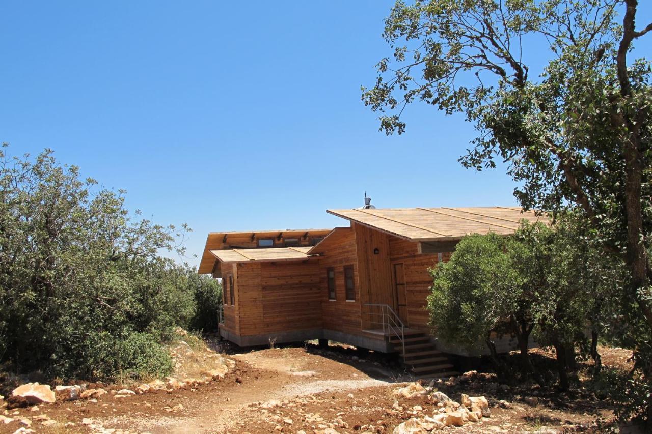 Ajloun Forest Reserve 제라시 외부 사진