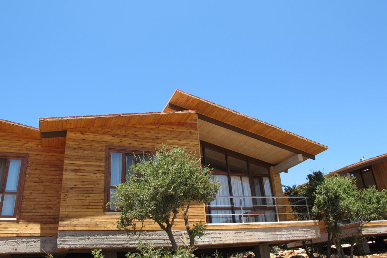Ajloun Forest Reserve 제라시 외부 사진