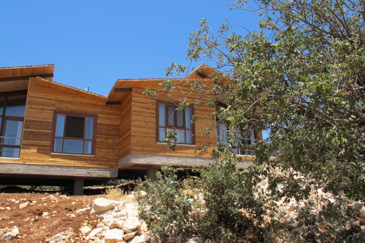 Ajloun Forest Reserve 제라시 외부 사진