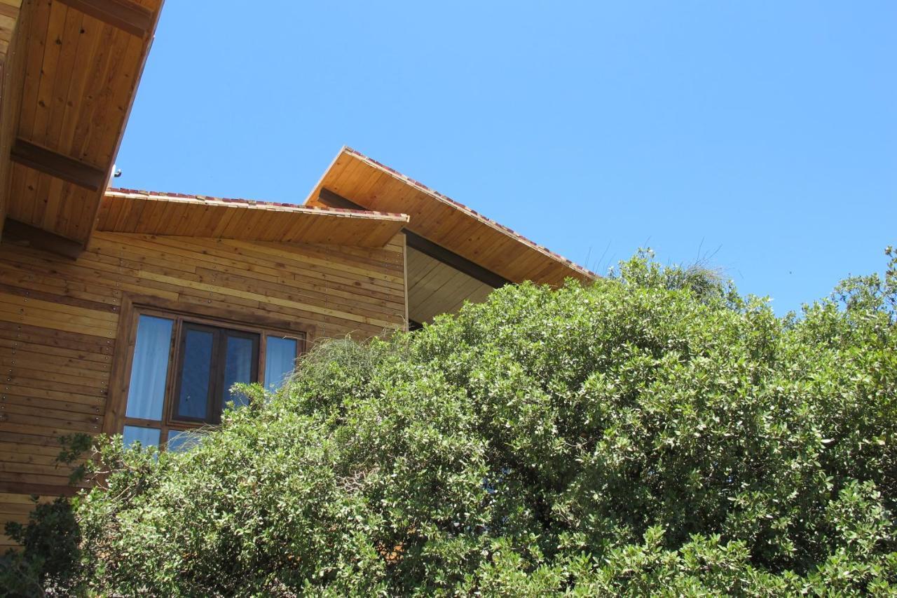 Ajloun Forest Reserve 제라시 외부 사진