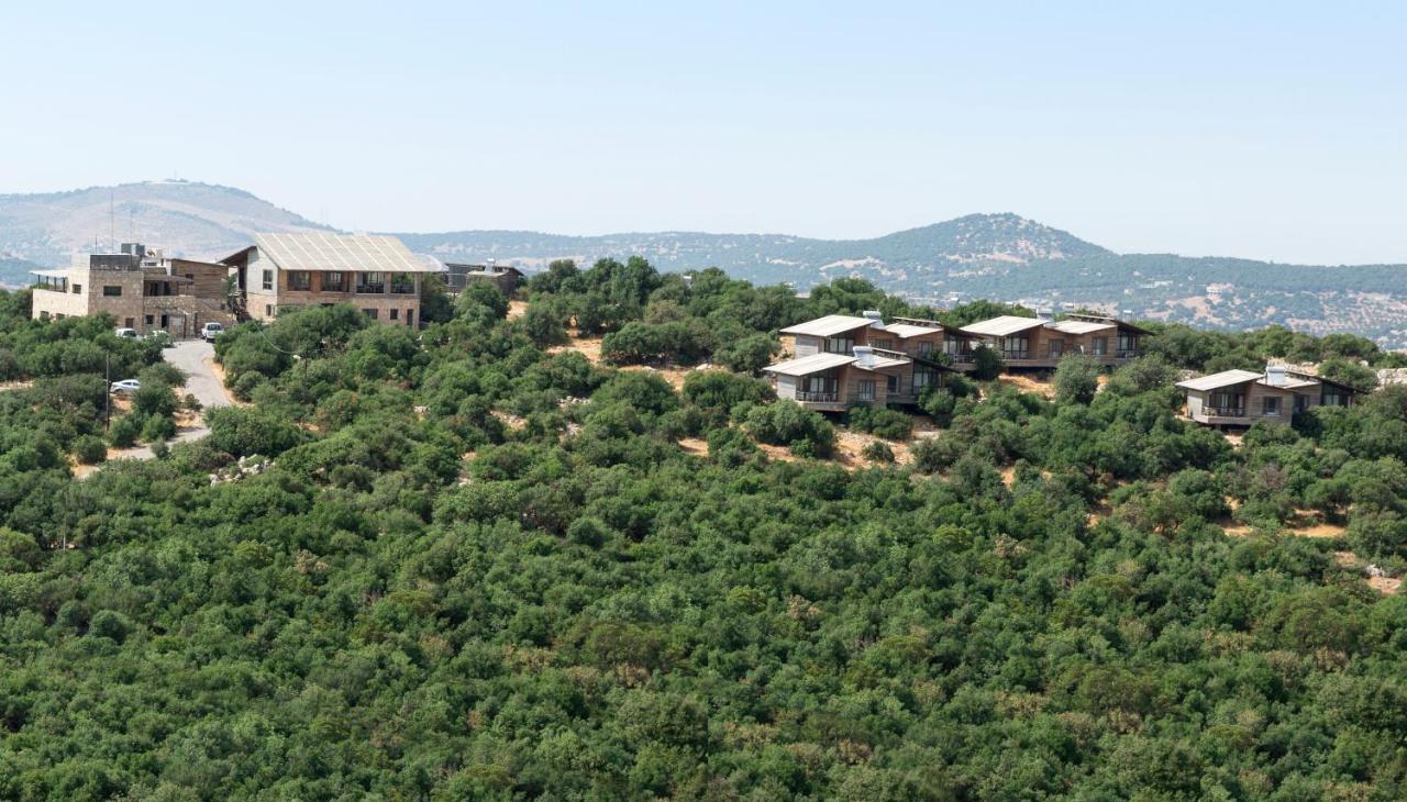 Ajloun Forest Reserve 제라시 외부 사진